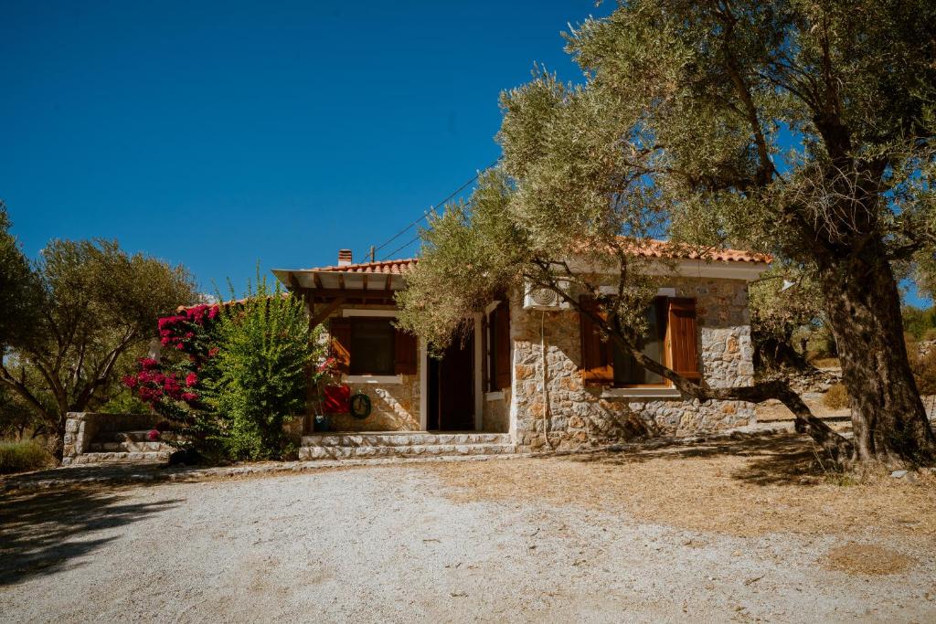 Traditional stone house surrounded by olive trees in Greece