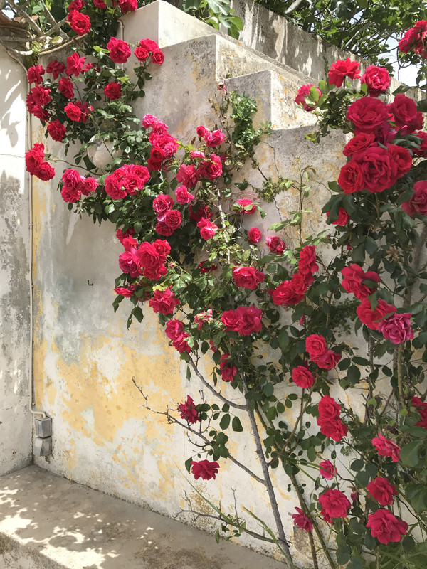 Kythera island photograph 10 from Stuart R Fleming’s visual journal