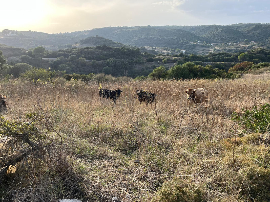 Kythera island photograph 15 from Stuart R Fleming’s visual journal